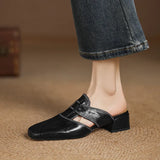 Women's Mule Shoes Square Toe Block Heel Backless – Going Out